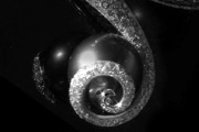 images/album/je.jpg
